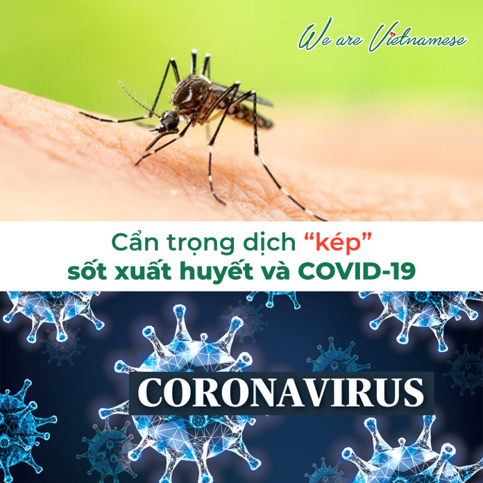 Cẩn trọng dịch “kép”: sốt xuất huyết và COVID-19