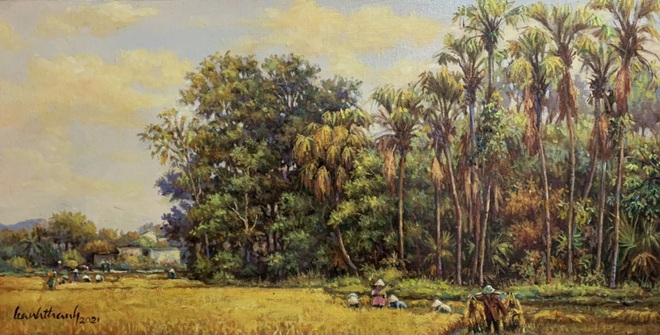 Mùa lúa chín xứ Thanh (Ảnh: Lê Anh Thanh)