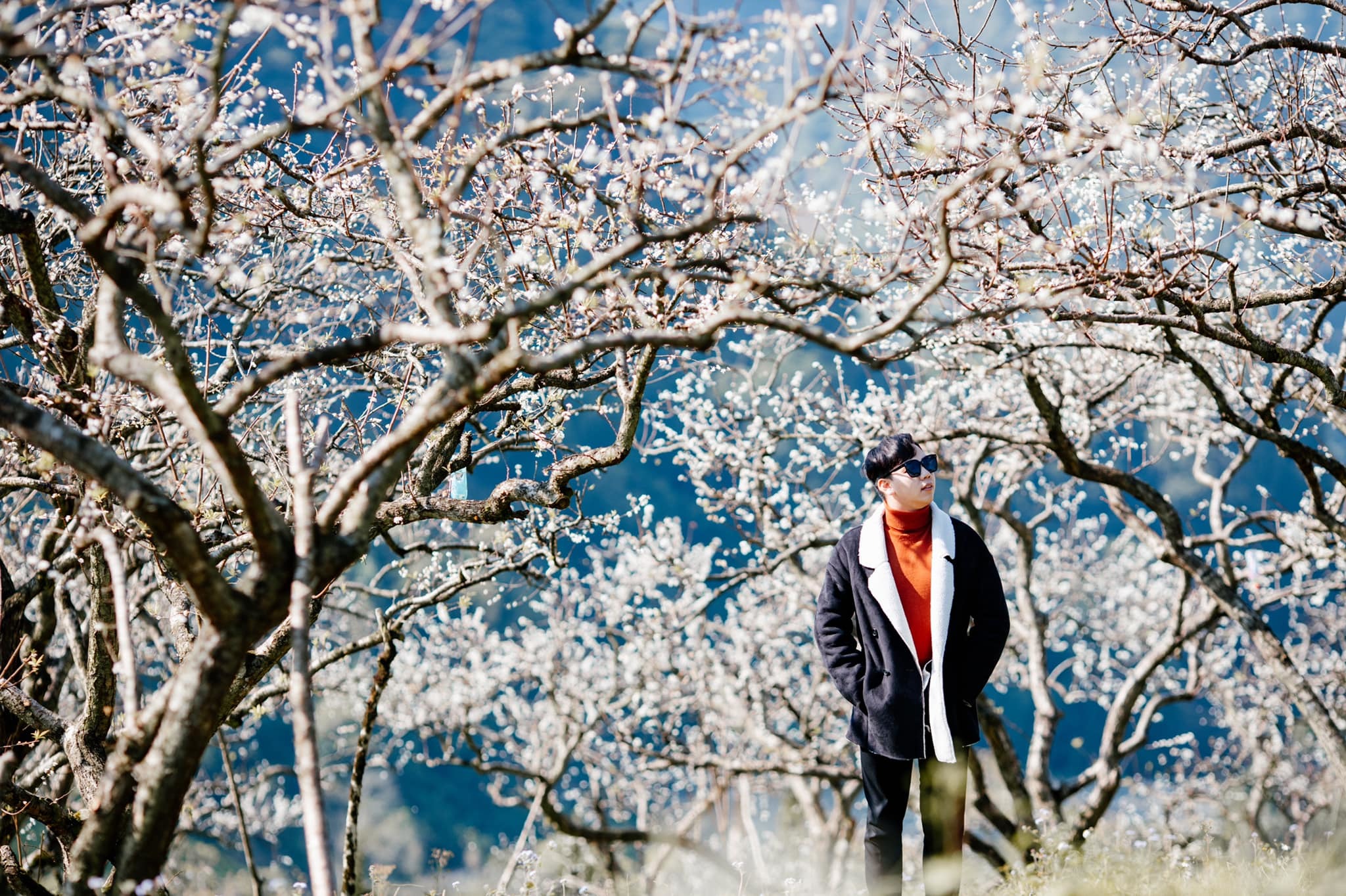 Hình ảnh anh Hoan check-in cùng rừng hoa mận nở trắng trời, đẹp như trong phim (Ảnh: Hải Dương)